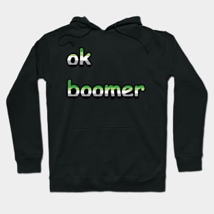 ok, boomer: Aromantic Edition Hoodie